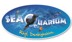 logo_rhyl.png