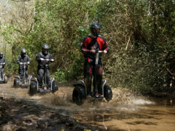 Segway Family Trek