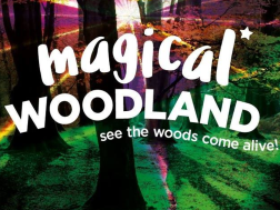 Magical Woodland 2019