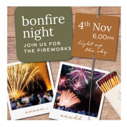 Bonfire night & fireworks