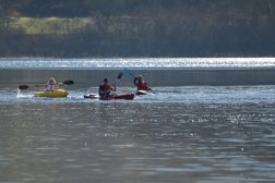 1 Hour Kayak Hire - Single Seat Sit on Top Kayak - Hope Lake