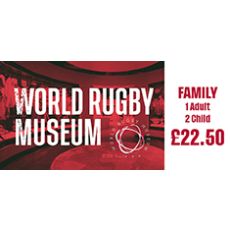 Family (1 adult and 2 children) - World Rugby Museum