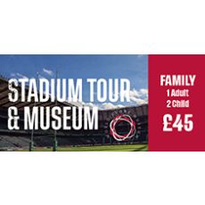 Family (1 adult and 2 children) - Twickenham Stadium Tour and World Rugby Museum