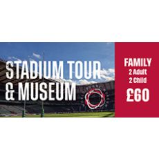 Family (2 adults and 2 children) - Twickenham Stadium Tour and World Rugby Museum