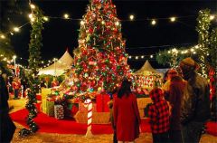 Xmas Celebration