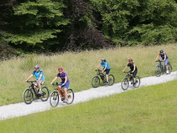 Cycle Hire at Lowther Half Day