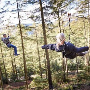 Night Zip Wire - a Step into Darkness