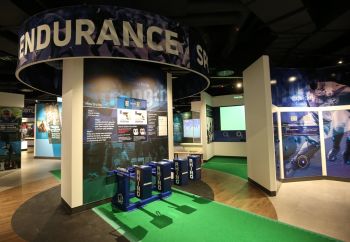 MATCHDAY World Rugby Museum Admission