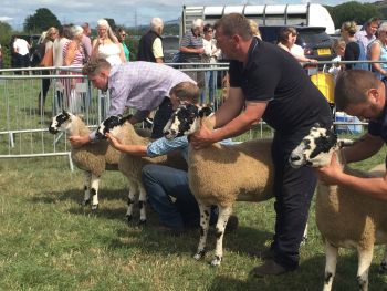 Garstang Show