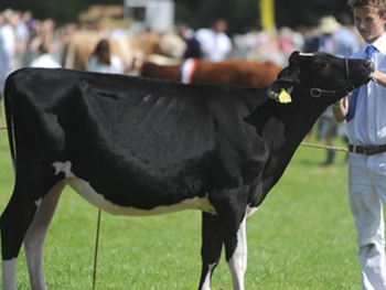 Garstang Show