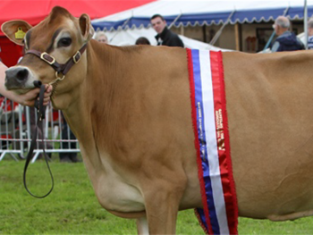 Garstang Show