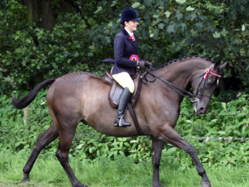 Garstang Show