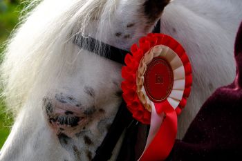 Garstang Show