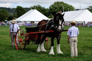 Garstang Show