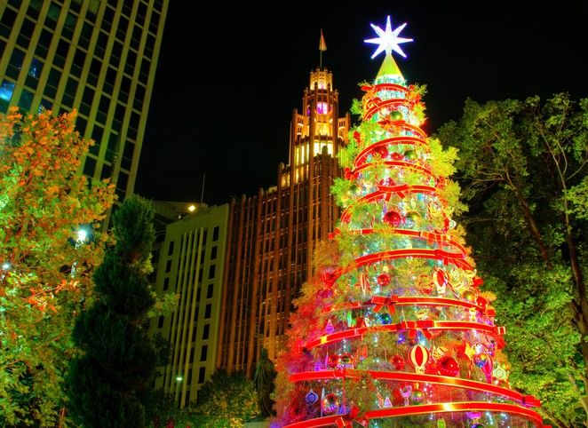 Xmas Celebration